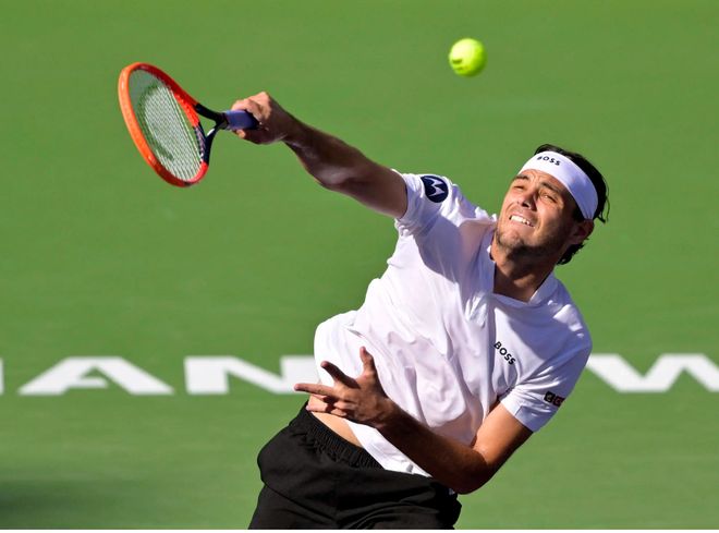 体育领域中 体育领域中