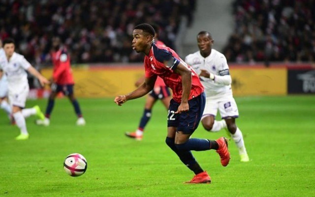 希望的火花 希望的火花