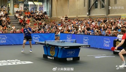 他们将正式 他们将正式