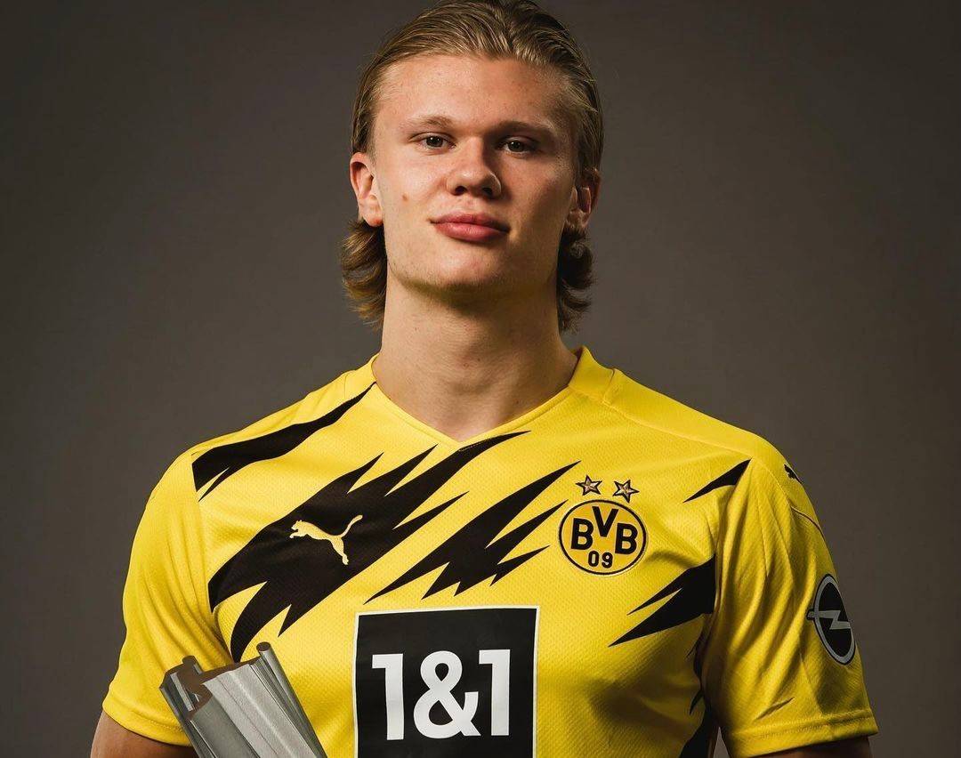 单点击破 单点击破